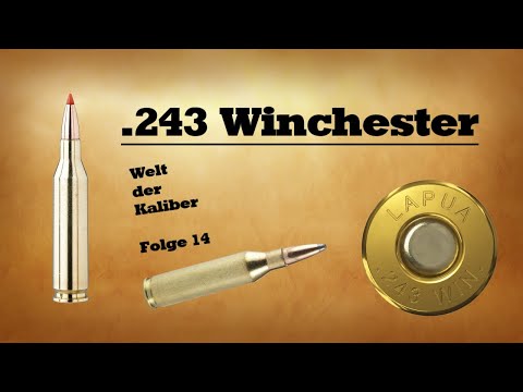 .243 Winchester - Welt der Kaliber , Folge 14