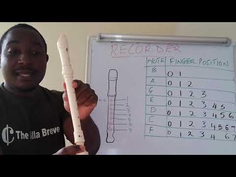 Notes A B C D E F and G on a Descant Recorder Explained.