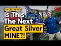 A Silver Revival in the Golden Triangle | DD On the Go: Episode 2 [Dolly Varden]