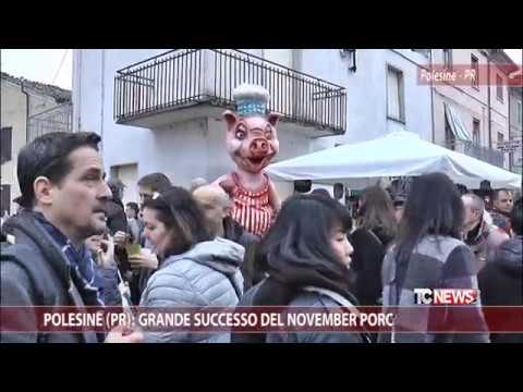 Polesine (PR): great success of the November Porc