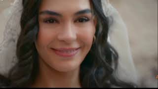 Download lagu Erik dalı Hercai Versiyon | Ayşe Dinçer mp3