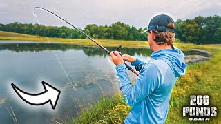 Did I Hook The BIGGEST Bass In This Pond? (200 Ponds Ep. 30)