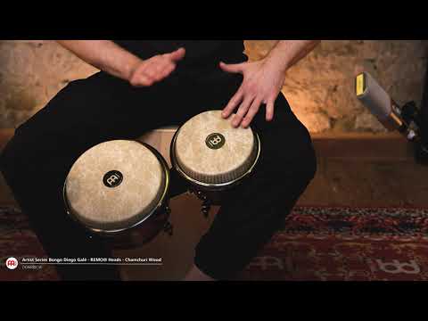 MEINL Percussion -  Artist Series Bongo Diego Galé, REMO® Fiberskyn® Heads - DGR400CW