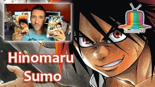 vidéo Hinomaru Sumo - Chronique