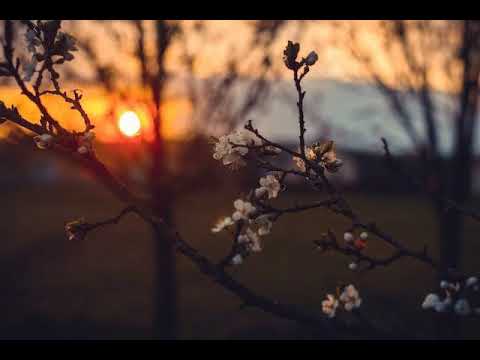 Moods Mix 203 - LIQUID DNB