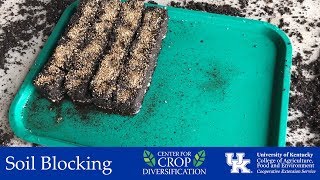 Soil Blocking for Transplants