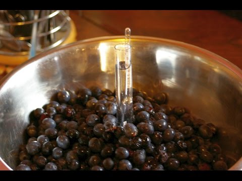 Sloe tincture part 1/3 | House Fragrant with Resin