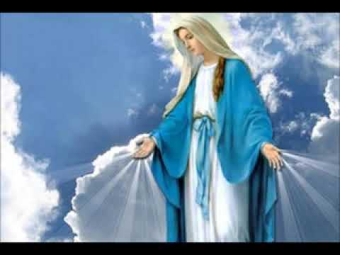 Hino CNSC 14   Sabedoria Distinta