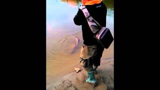 Pontoon 21 homunculures awaruna 1.5