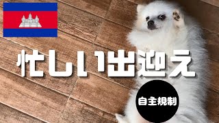 愛犬の寝顔を撮影したい!!!のですが、これはMission Impossibleですな・・・