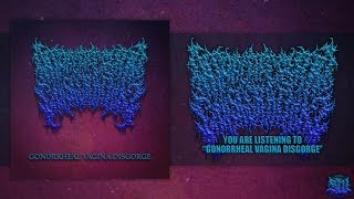 INTRACEREBRAL EVISCERATION - GONORRHEAL VAGINA DISGORGE [DEBUT SINGLE] (2016) SW EXCLUSIVE