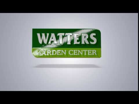 download lagu mp3 mp4 I Believe Logo, download lagu I Believe Logo gratis, unduh video klip I Believe Logo