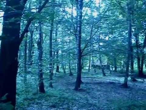 Krynitza - Zemlja Matushka