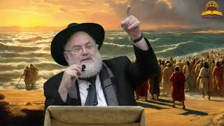 קריעת ים סוף זה לראות את הקב"ה בחוש!! הרב מנחם שטיין