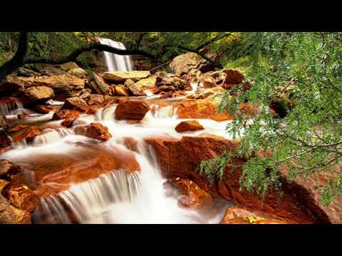 Sleep, Relax 24/7💧🎸 Relaxing guitar music, forest noise for sleeping, study, meditation SleepWorldPH