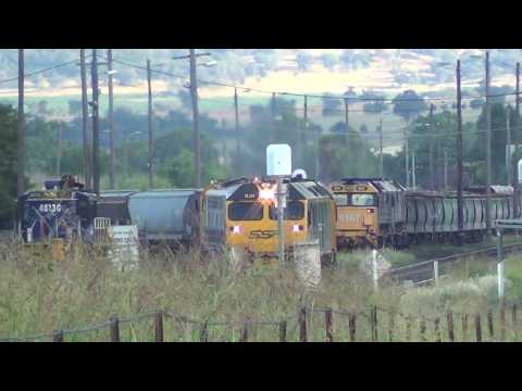 RL304+RL305+44206+B61+442s1=WERRIS CREEK