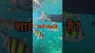 शार्क कहा छुपीहै? #waterfall #viralshorts #games #bts #shark #underwater #sea #gameplay #republicday
