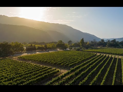 BERNARDUS LODGE & SPA X RENATO FILMS