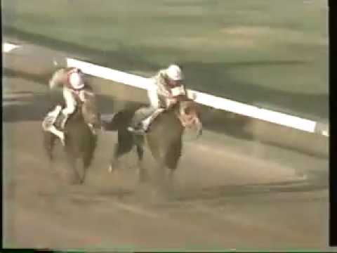 The Viceroy (JAM) - 1992 Jamaica Super Stakes