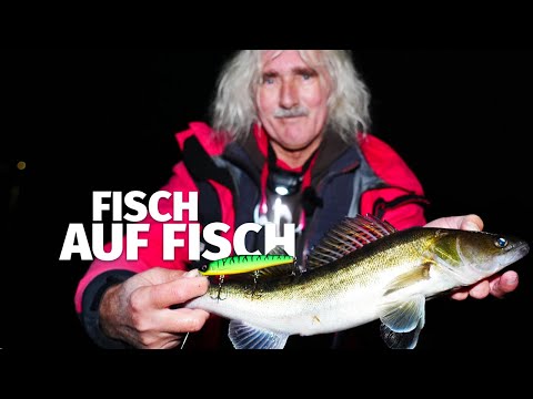 At night it runs like a horn - With wobblers for zander - catch something (55)