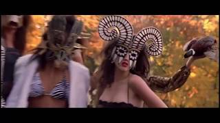 urban jungle - time for a promotion video