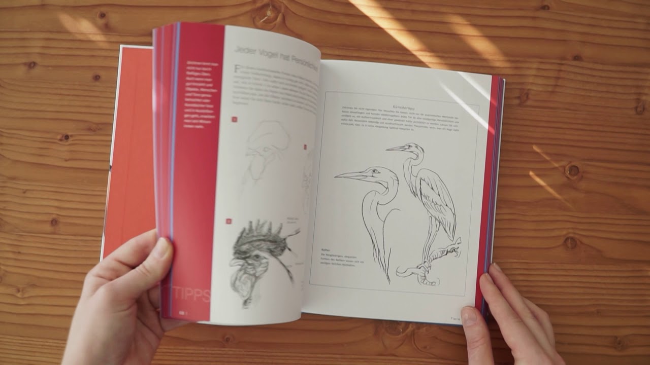 Frechverlag Handbuch Die Kunst des Zeichnens Kompaktwissen 224 Seiten Frechverlag Handbuch Die Kunst des Zeichnens Kompaktwissen 224 Seiten