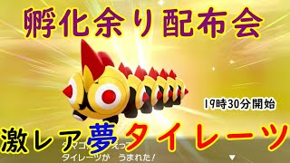 タイレーツ ポケットモンスター ポットデス ディアンシー ヒトモシ タイレーツ ポケットモンスター ポットデス ディアンシー ヒトモシ