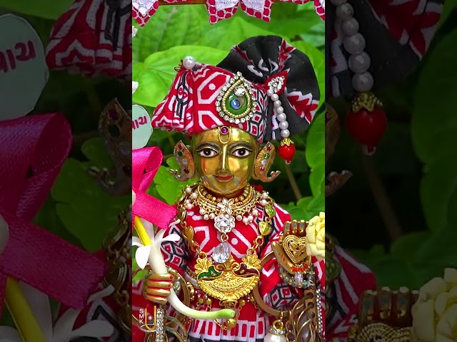 Harikrushna Maharaj