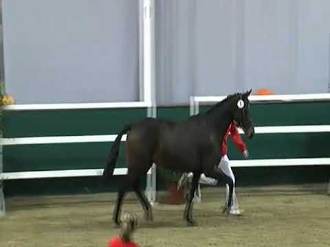 Academy Awards v. Surako xx - Surumu xx