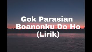 Download lagu GOK PARASIAN - BOANOKKU DO HO [LIRIK] mp3