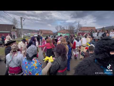 Zitoh Bagaciu 2023.07.01