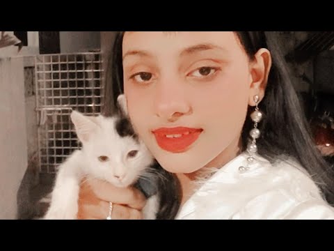 My new pet cat|SUJI😘