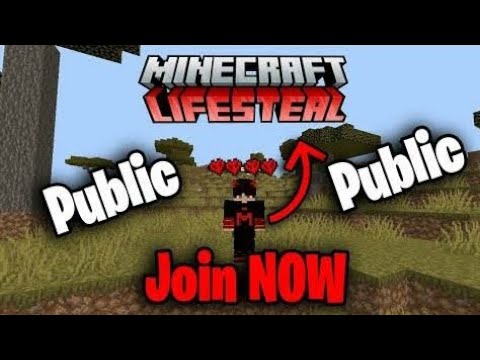 Unstoppable LifeSteal in Public Smp 24/7 | MurdererMC
