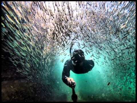 Zeroeye and Selgrys - Andrew Rayel and Jwaydan - Until the End