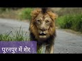 पीलीभीत पूरनपुर के पकरिया बाबा स्थान �