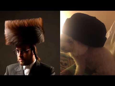 Shtreimel Commercial