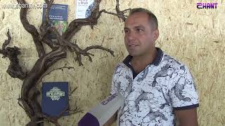 Առավոտը Շանթում- Խաղողի և գինու դպրոց