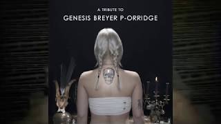 ALEXEY VOLKOV - What A Day (Throbbing Gristle cover)