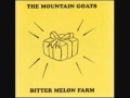 The Mountain Goats - No, I Can't (High-Fi) 
