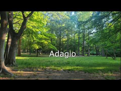 L Berkeley : Sonatina for alto recorder and piano(op.13)