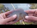 mancing ikan‼️joran gak berhenti melengkung || mancing ikan patung tepat dilubuknya #025