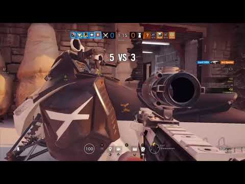 Chalet has a Termite problem