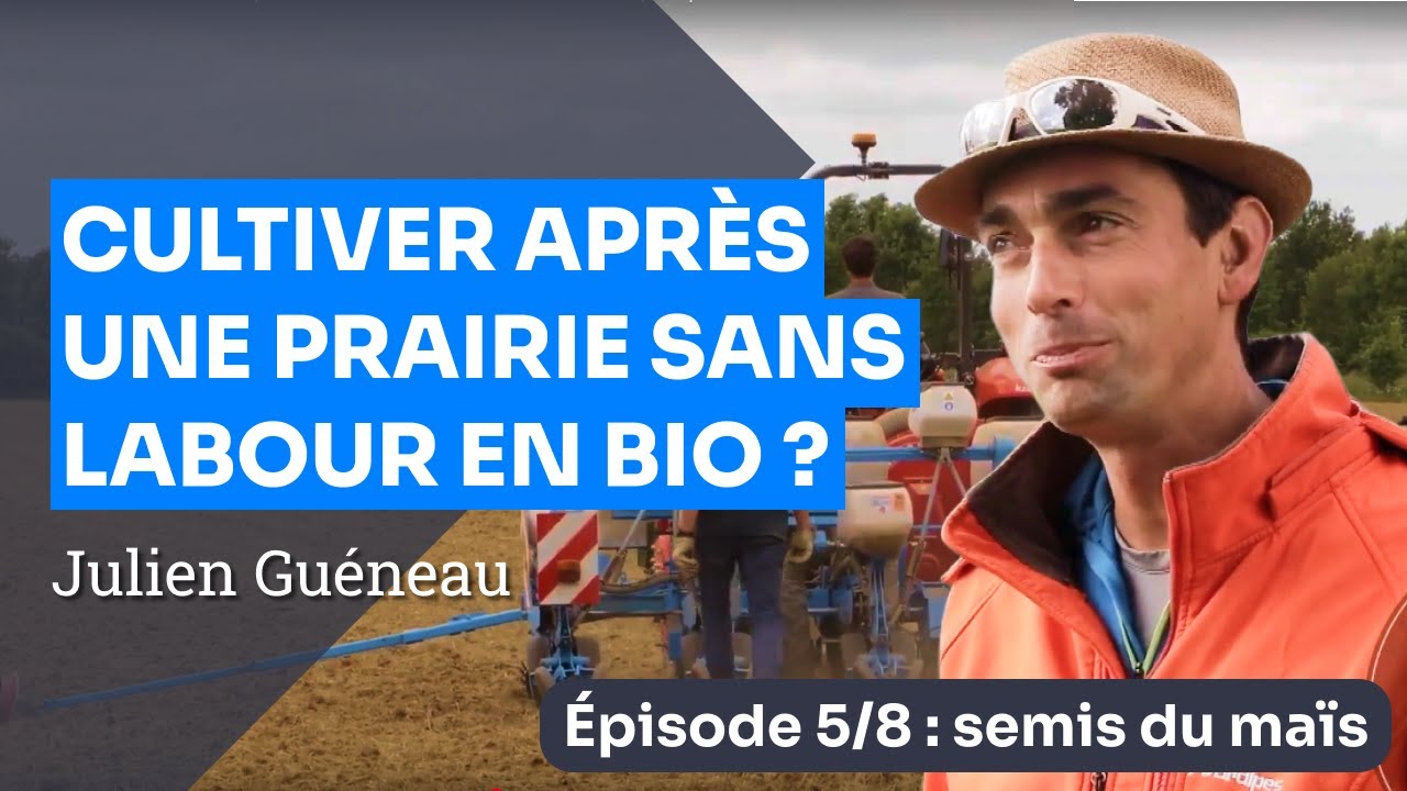 Épisode 5 : Le semis du maïs - Implanter une culture en Bio sans labour après prairie