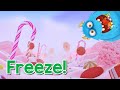 Gummy Bear Run- An Interactive PE Experience | PE Games | Brain Break | Sweets | PhonicsMan Fitness