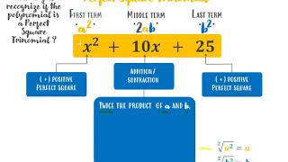Factoring PERFECT SQUARE TRINOMIAL (PST)