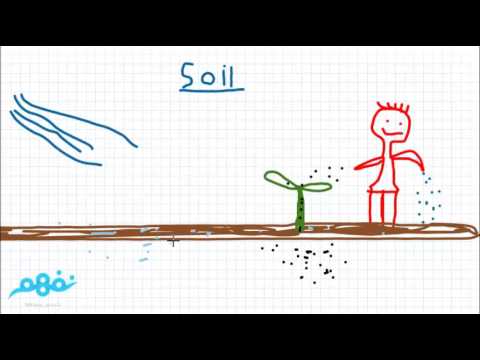 Soil pollution and protection -   العلوم لغات - الصف الخامس الابتدائي - الترم الثاني - نفهم