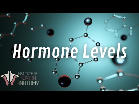 The Hormonal Rollercoaster | Part 4 of the Female Reproductive Cycle