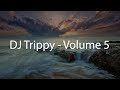 DJ Trippy - Volume 5