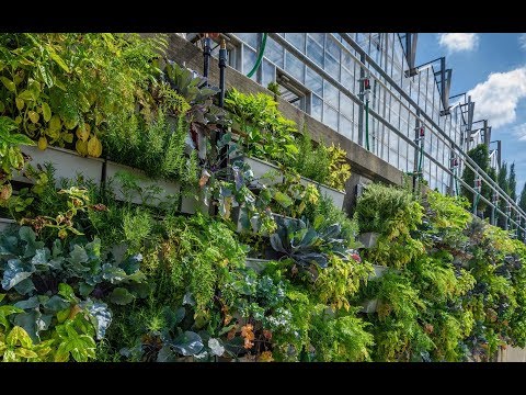 Phipps Conservatory Production Greenhouse Living Walls - Project of the Week 11/20/17