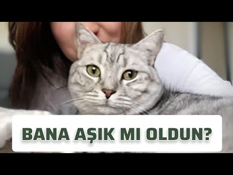 Lucas’ın Masum Sırrı  🐾 ✨